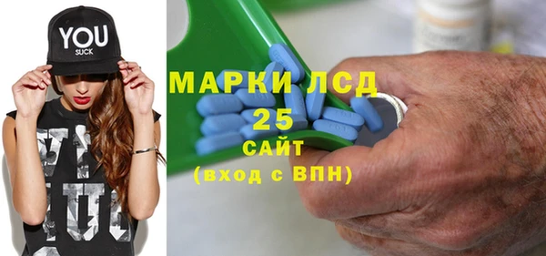ПСИЛОЦИБИНОВЫЕ ГРИБЫ Алексин