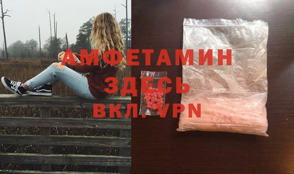 ПСИЛОЦИБИНОВЫЕ ГРИБЫ Алексин