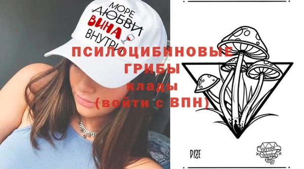 прущие крисы Абинск