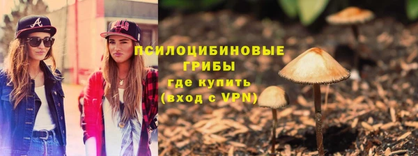 дмт Алексеевка